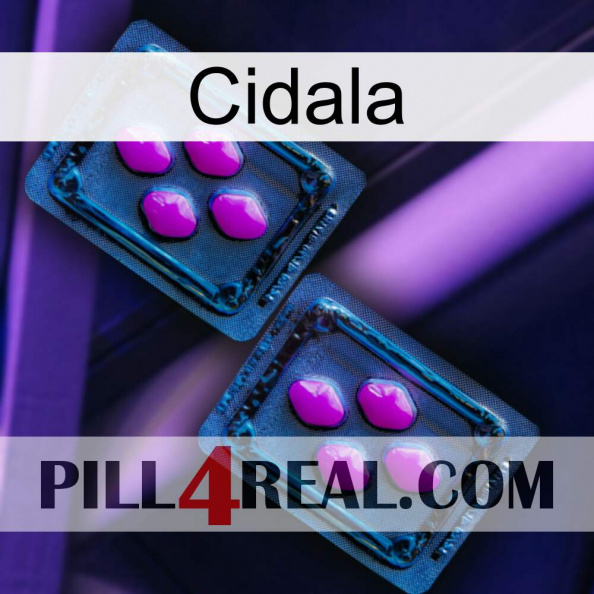 Cidala 03